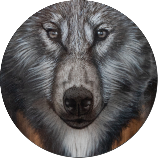 Wolf auf Longboard Wolfsdarstellung auf Longboard