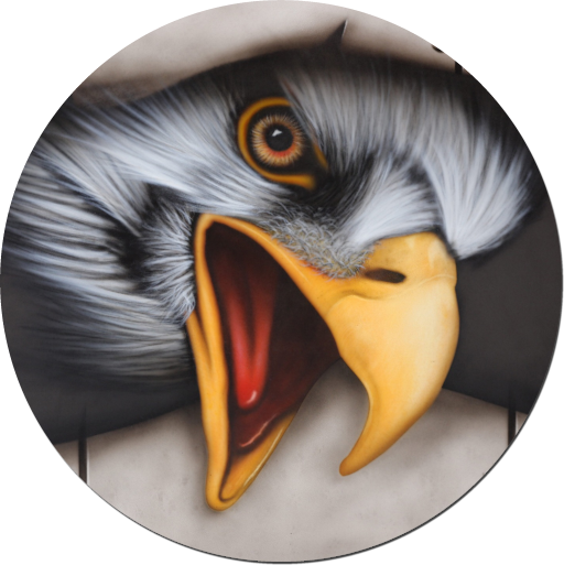 Adler Adlerkopf durch Wand
