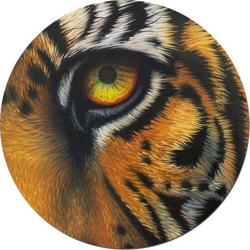 Tiger Airbrushbild Tigerkopf